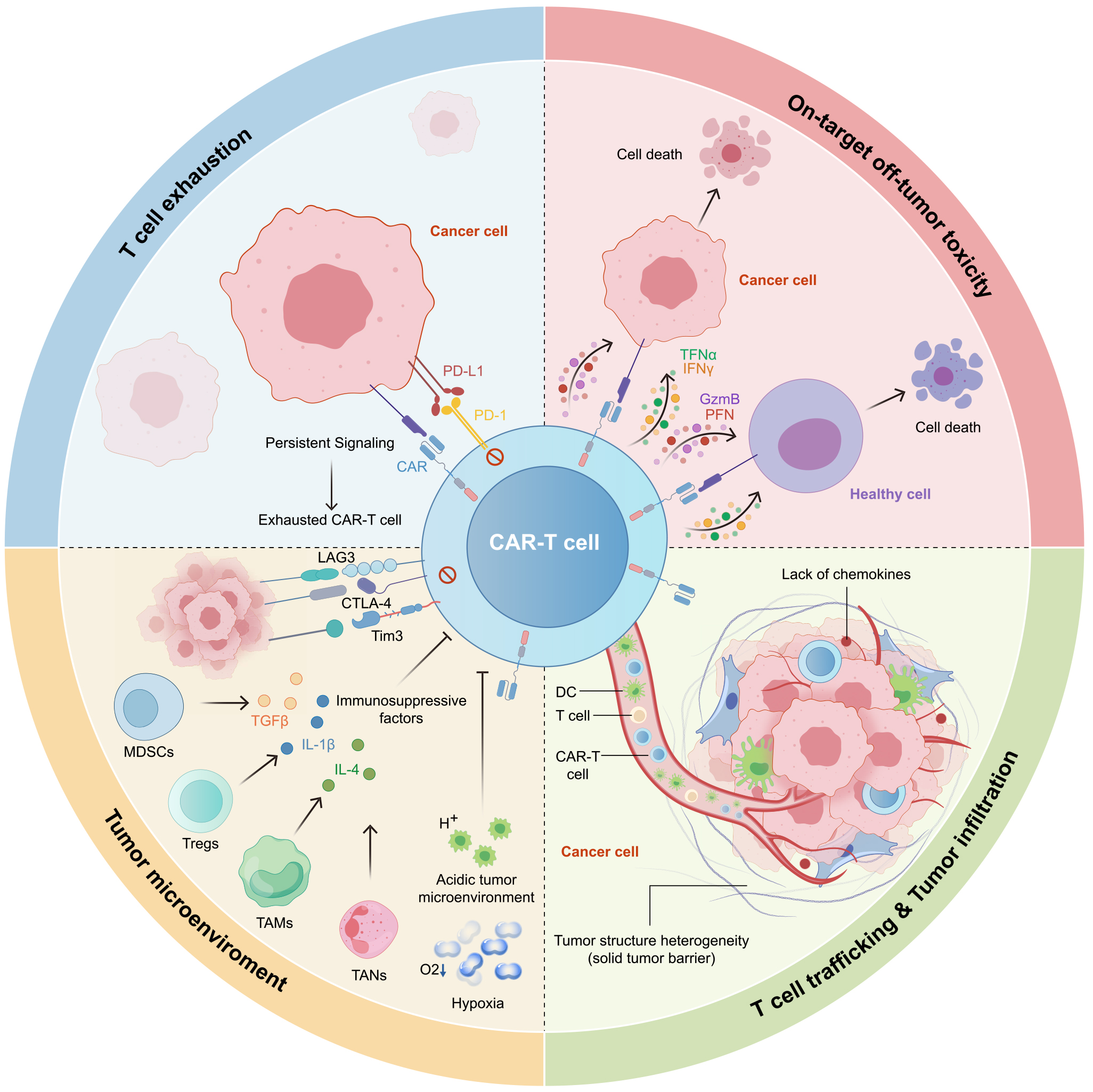 综述CAR-T治疗实体瘤挑战，探索新兴靶点破局之路