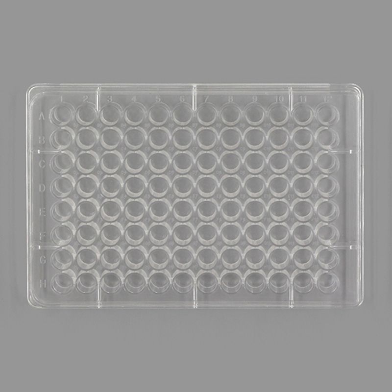 BeyoGold™ 96孔透明平底UV板(独立包装)