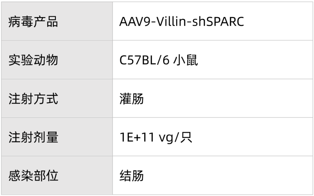 表2.png