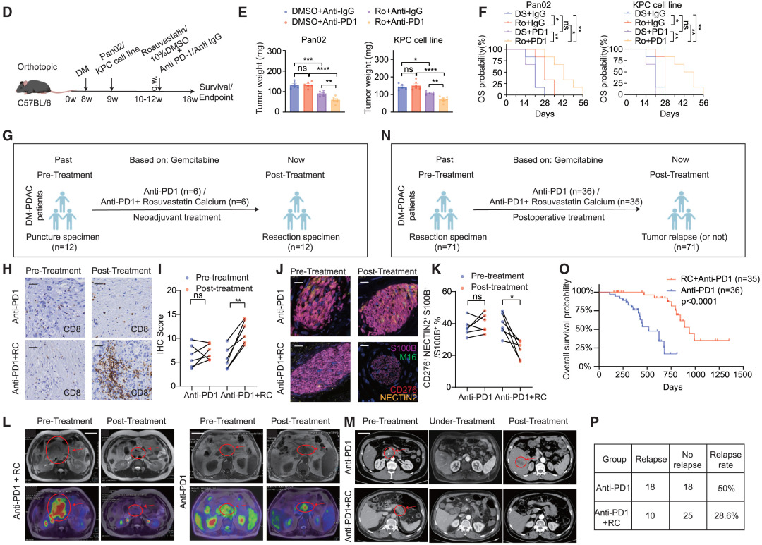 Cell Metabolism | 瑞金医院破解“糖癌”免疫逃逸密码，瑞舒伐他汀或成糖尿病相关胰腺癌患者救星