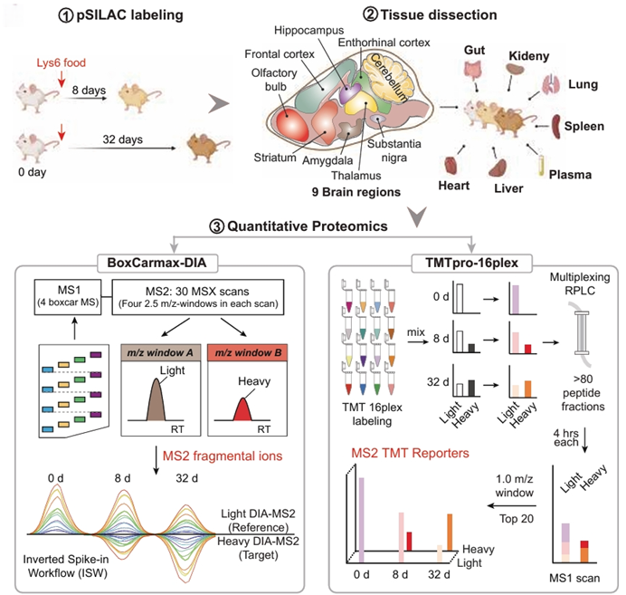 6389067585632786437748072
