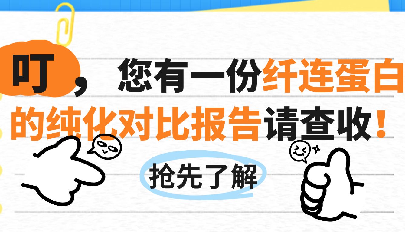 叮，您有一份纤连蛋白的纯化对比报告请查收！