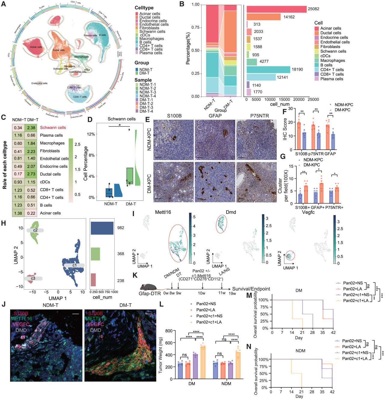 Cell Metabolism | 瑞金医院破解“糖癌”免疫逃逸密码，瑞舒伐他汀或成糖尿病相关胰腺癌患者救星
