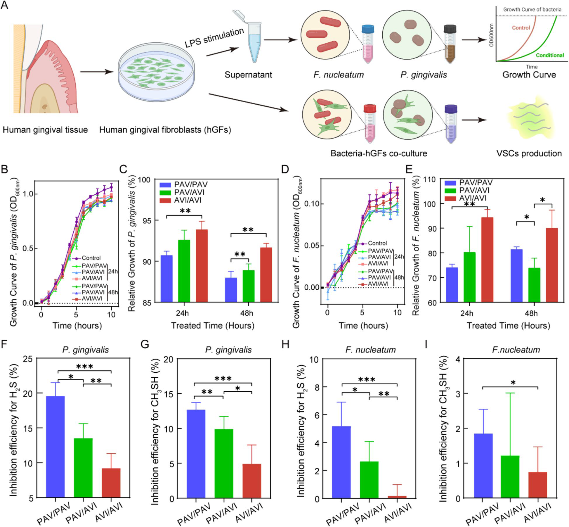 【文献解读】hTAS2R38 基因多态性调控口腔微生物群影响口臭发生及治疗效果的新发现