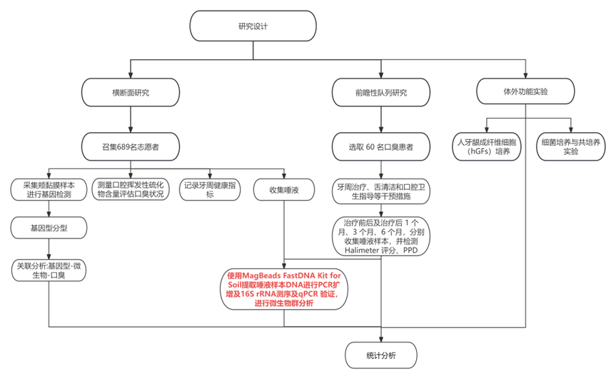 【文献解读】hTAS2R38 基因多态性调控口腔微生物群影响口臭发生及治疗效果的新发现