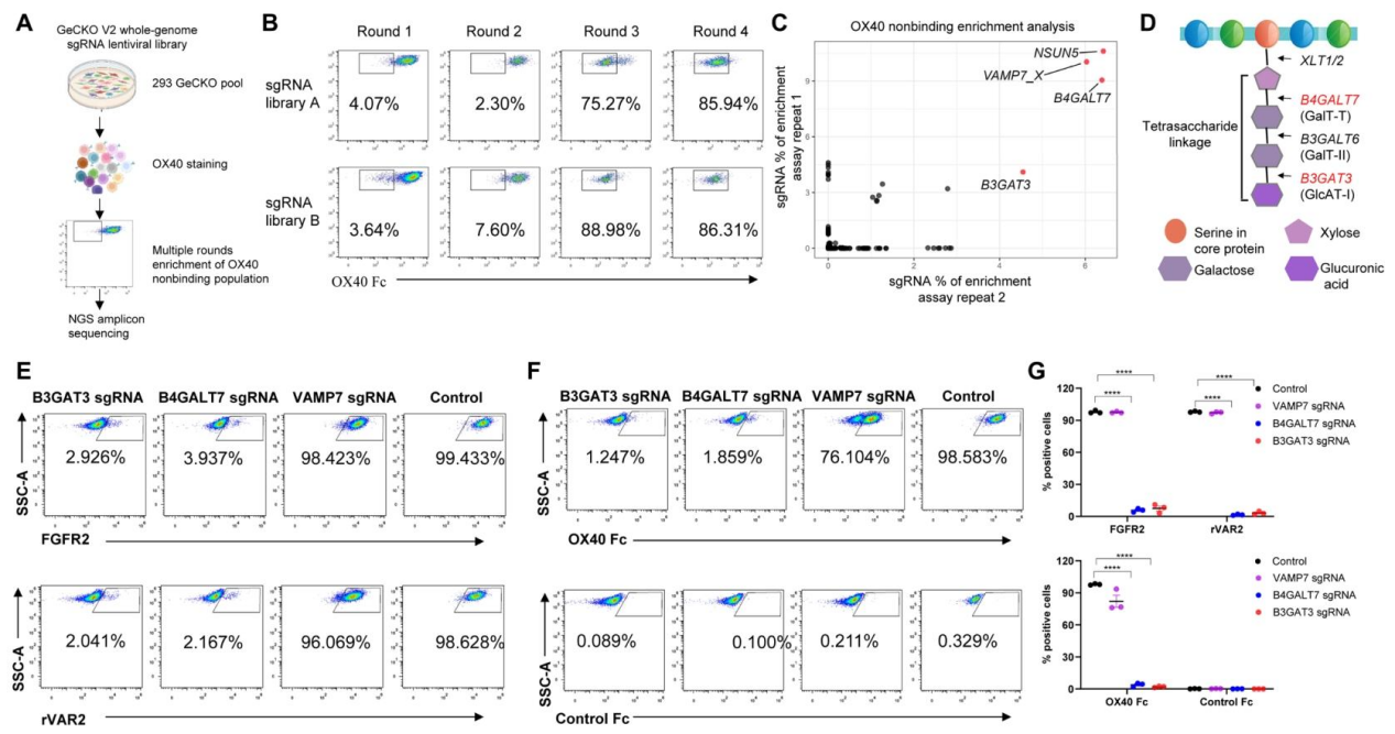 6389084855073795788841140