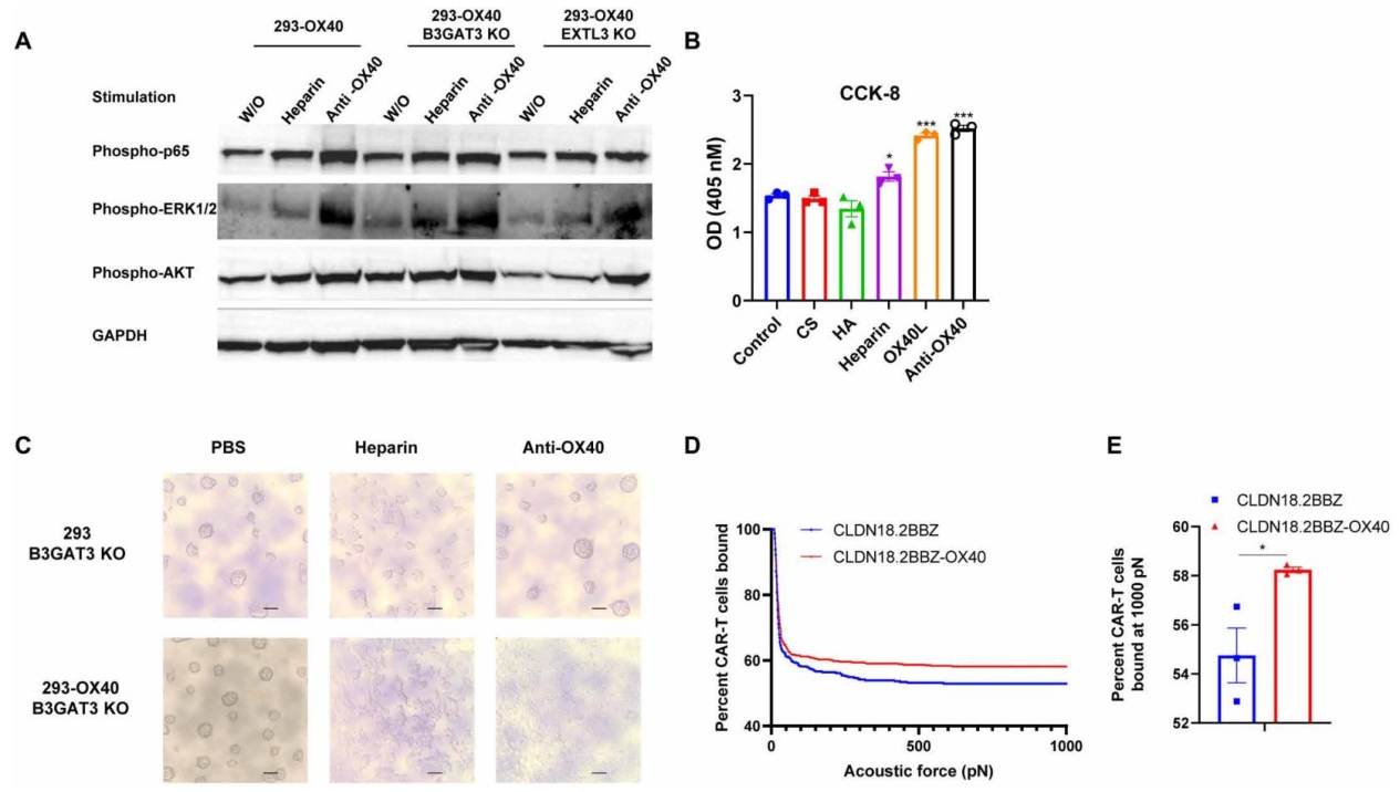6389084860564875259531172