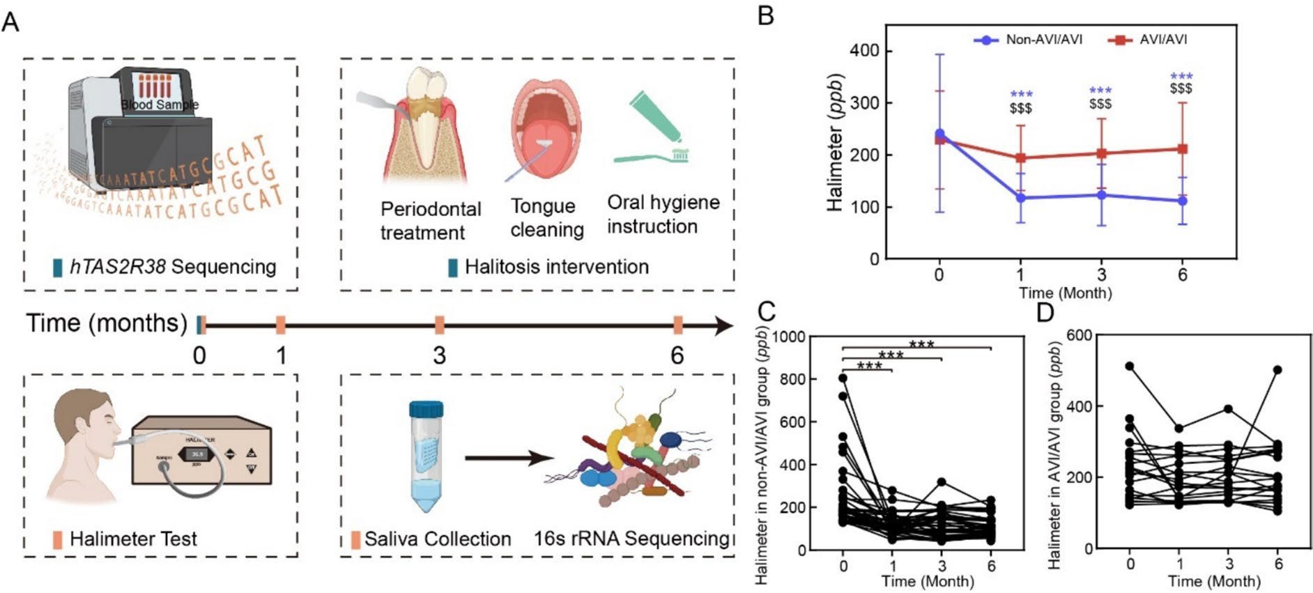 【文献解读】hTAS2R38 基因多态性调控口腔微生物群影响口臭发生及治疗效果的新发现