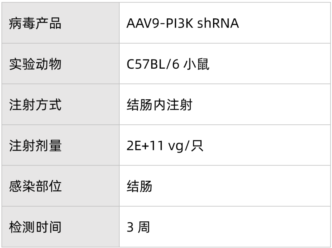 表3.png