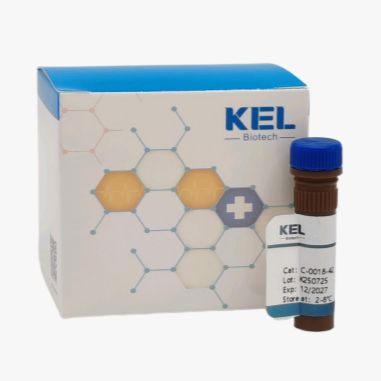 APC anti-human CD16 Recombinant Antibody