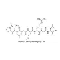 基质金属蛋白酶-13敏感肽（GPLGMRGL）  常用于响应型精准药物递送系统