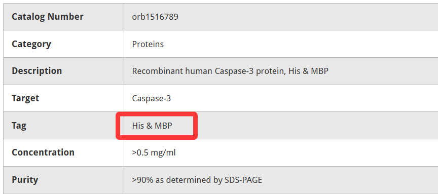 促溶标签：破解重组蛋白“溶解困局”的秘密武器，MBP标签为何成为宠儿？