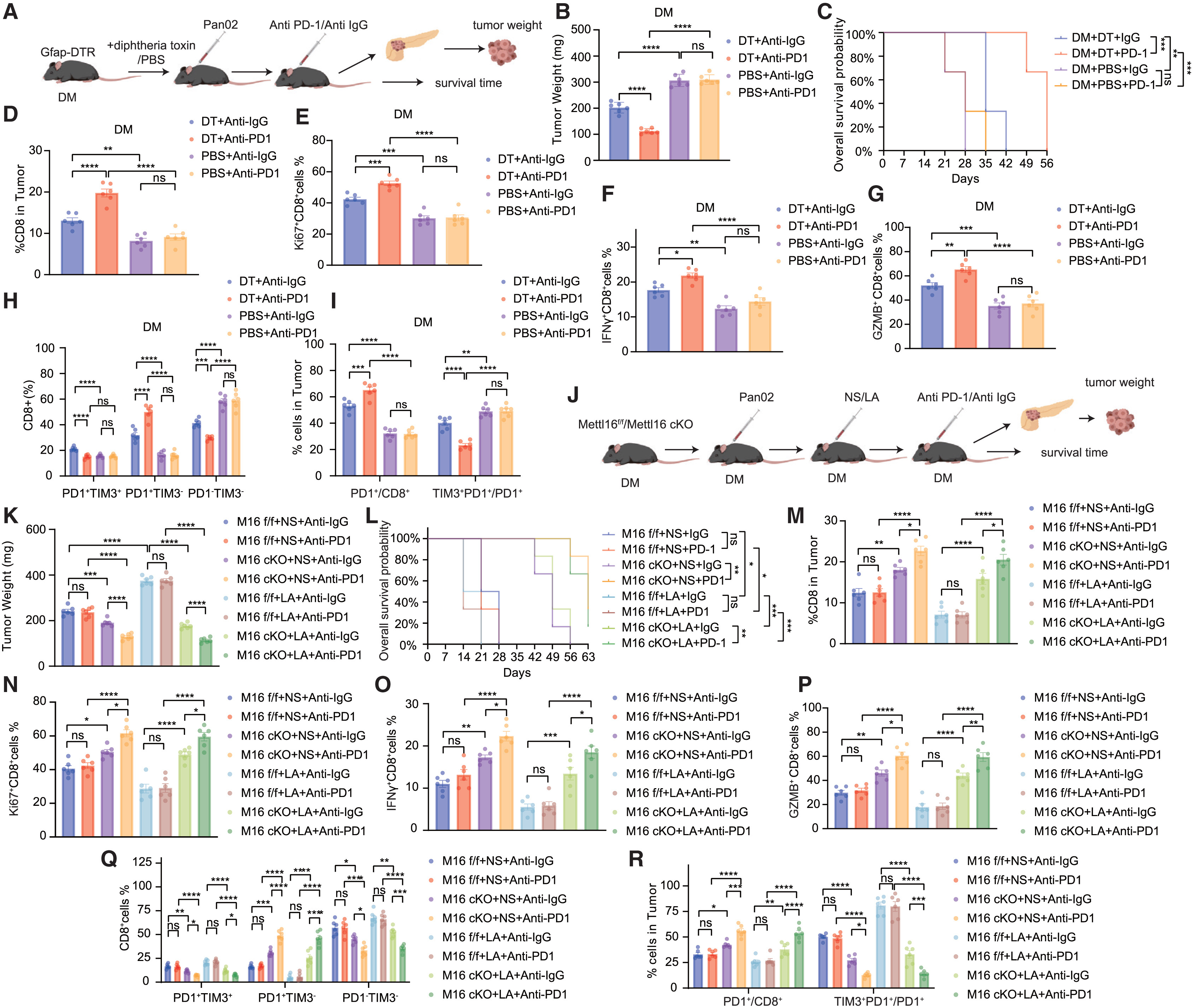 Cell Metabolism | 瑞金医院破解“糖癌”免疫逃逸密码，瑞舒伐他汀或成糖尿病相关胰腺癌患者救星