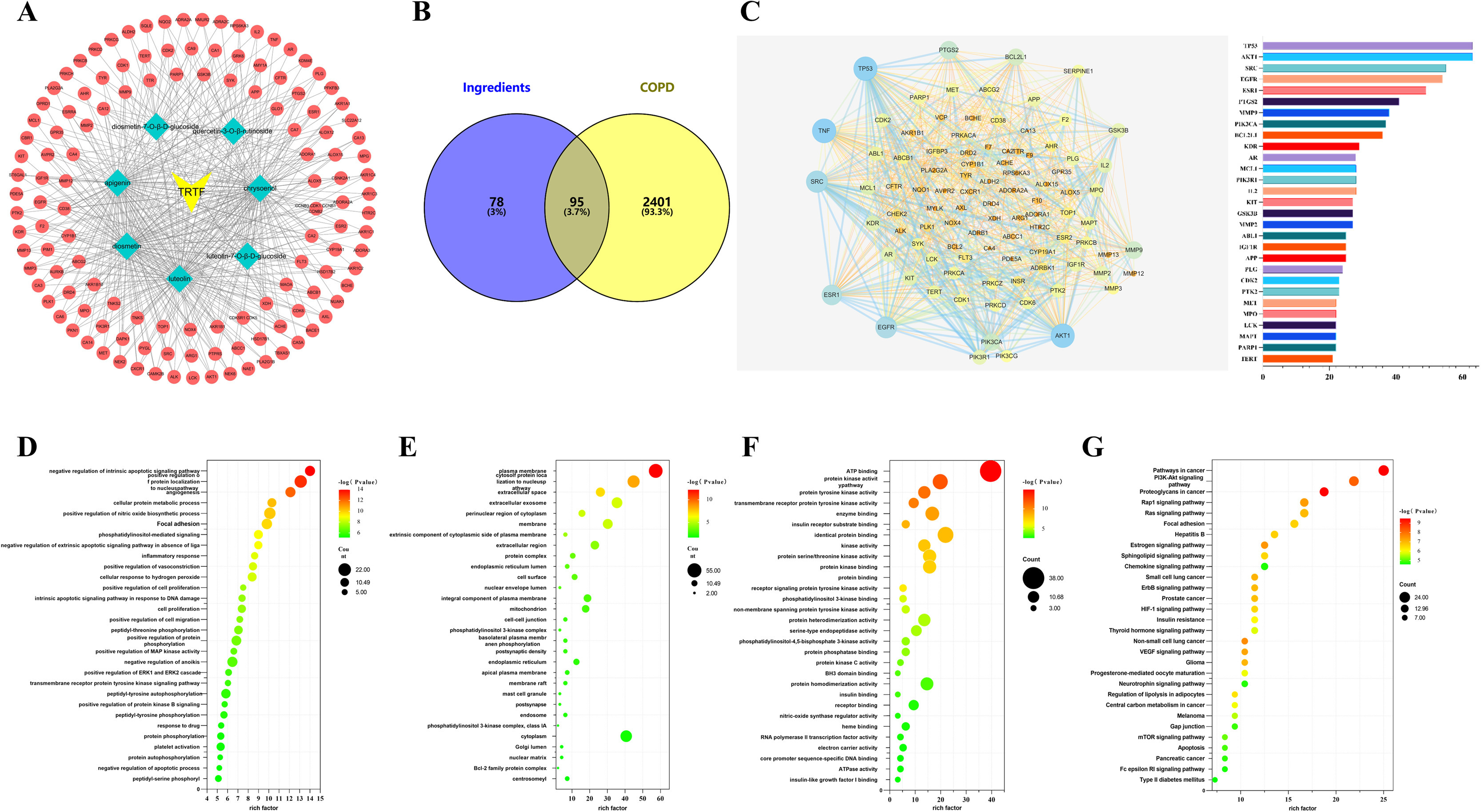 IF:8.3,血清化学+网络药理学+SPR验证，解析中药瓜蒌改善COPD的多靶点机制！