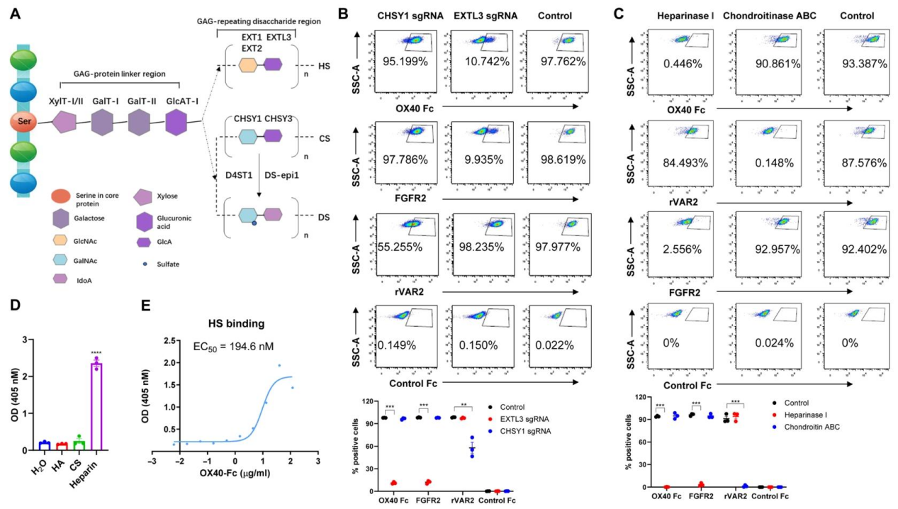 6389084857900279517801295