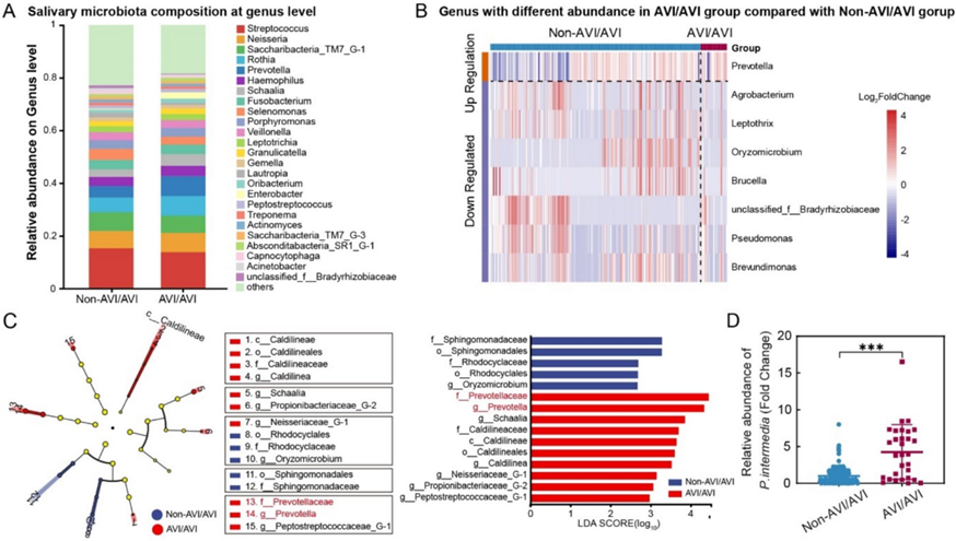 【文献解读】hTAS2R38 基因多态性调控口腔微生物群影响口臭发生及治疗效果的新发现