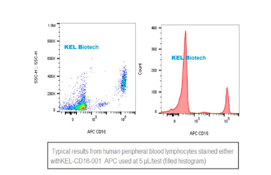 APC anti-human CD16 Recombina