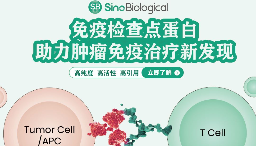 揭秘B7-CD28超家族：免疫检查点中的“调控大师”