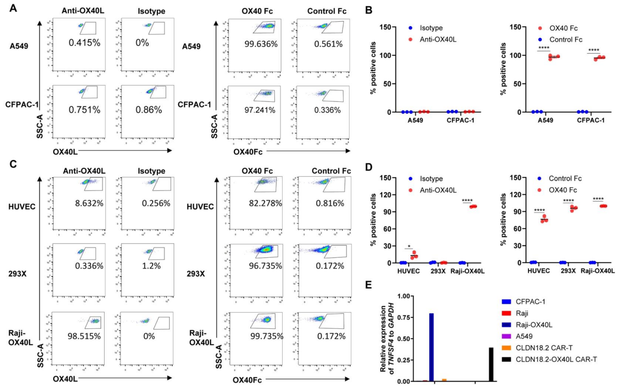 6389084846397212945389245