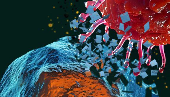 综述CAR-T治疗实体瘤挑战，探索新兴靶点破局之路