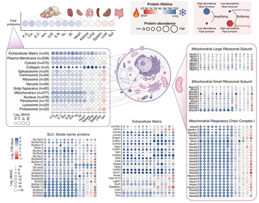 6389067591052954704891605