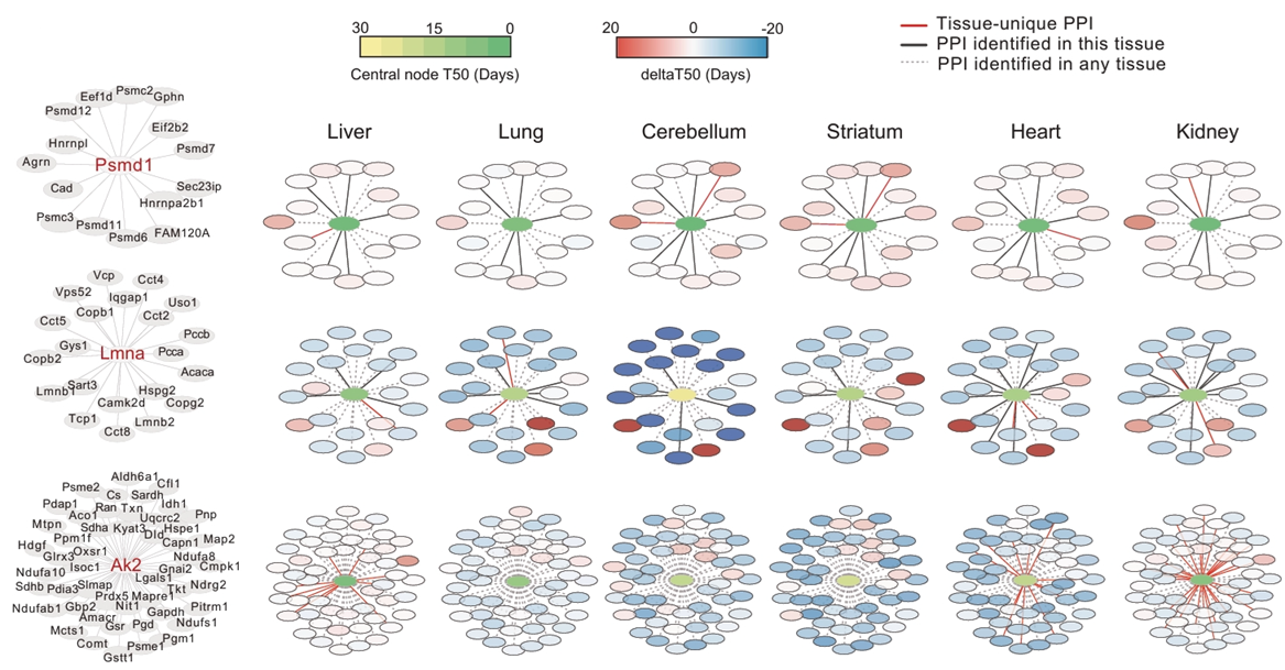 6389067593385121146855868