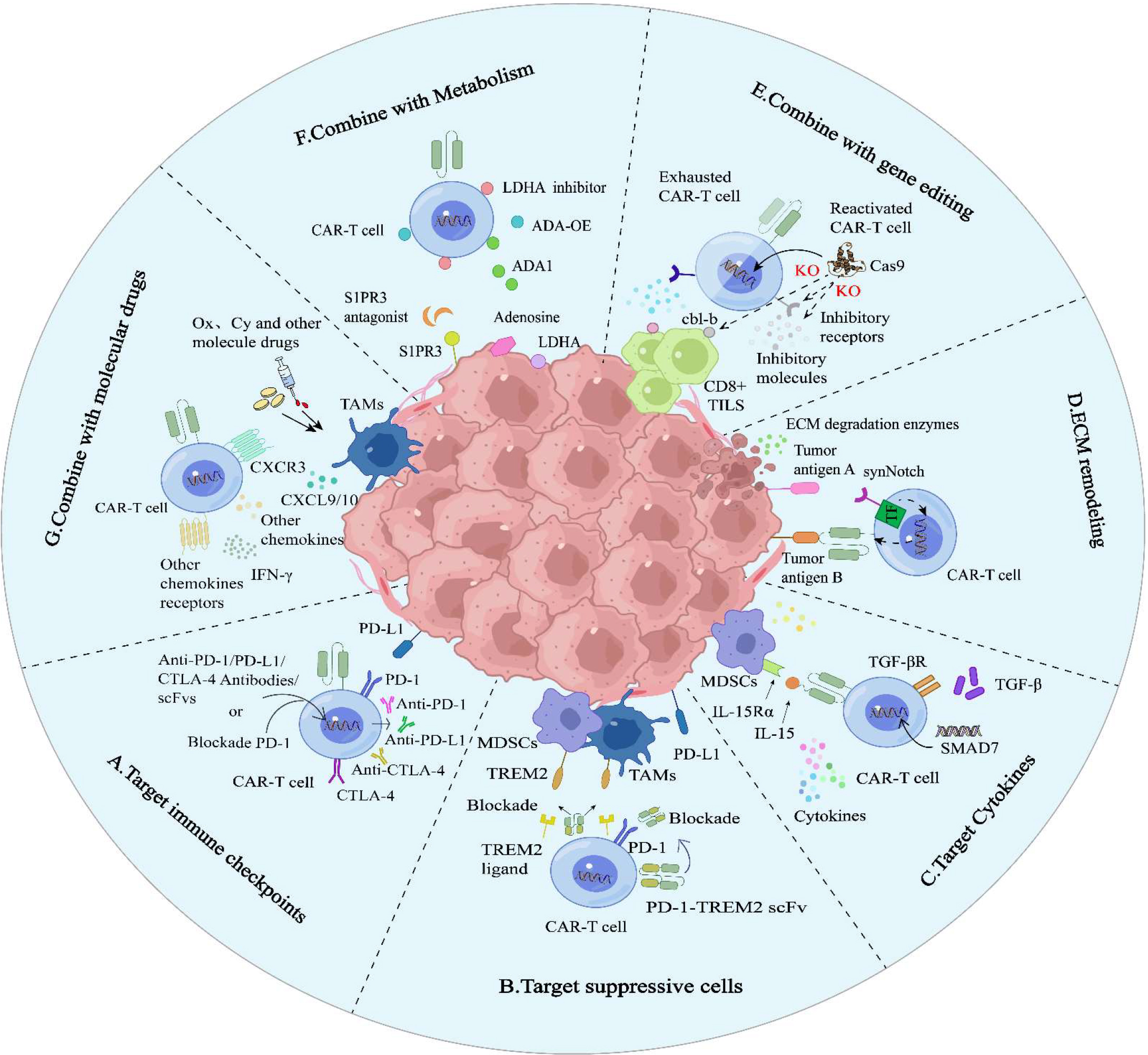 综述CAR-T治疗实体瘤挑战，探索新兴靶点破局之路