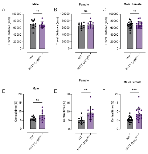 FVB-hHTT Q150 KI小鼠-疾病模型-亨廷顿舞蹈症