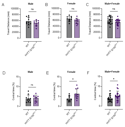 FVB-hHTT Q150 KI小鼠-疾病模型-亨廷顿舞蹈症