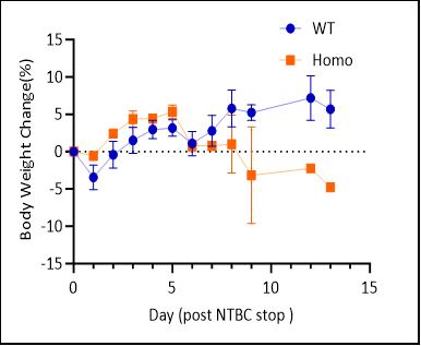 Fah KO小鼠-疾病模型-I型酪氨酸血症 酪氨酸血症