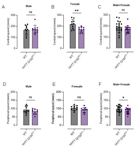 FVB-hHTT Q150 KI小鼠-疾病模型-亨廷顿舞蹈症