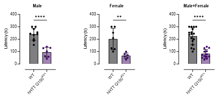 FVB-hHTT Q150 KI小鼠-疾病模型-亨廷顿舞蹈症