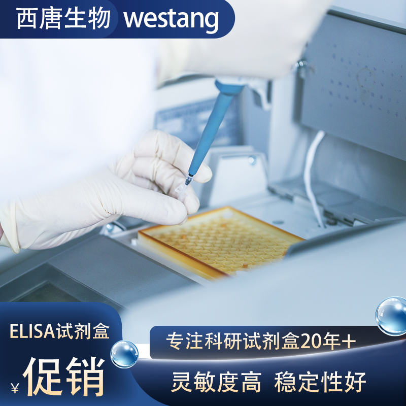 大鼠血管内皮生长因子(VEGF)试剂盒 免费代测