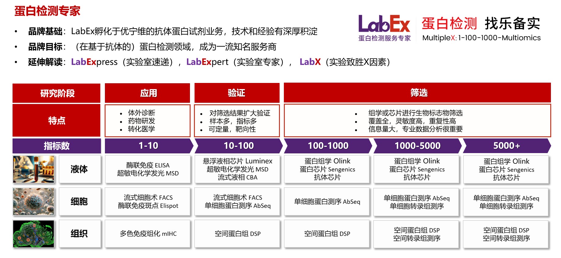 展会邀请|2025中国生命科学博览会即将开幕,LabEx与您相约广州!