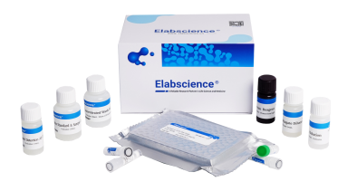 仅需 25μL！Elabscience 全新微量法 ELISA 指标，解你样本之忧