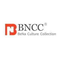 肠炎沙门氏菌肠炎亚种鼠伤寒血清型基因组DNA BNCC356120