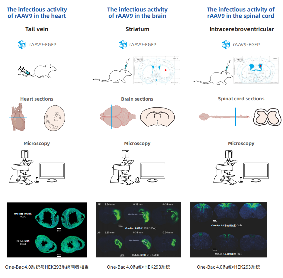 产品细节图片10