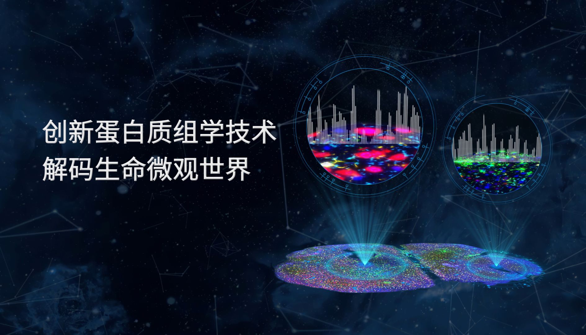 空间可视化蛋白质组技术：解码生命微环境的“显微镜”