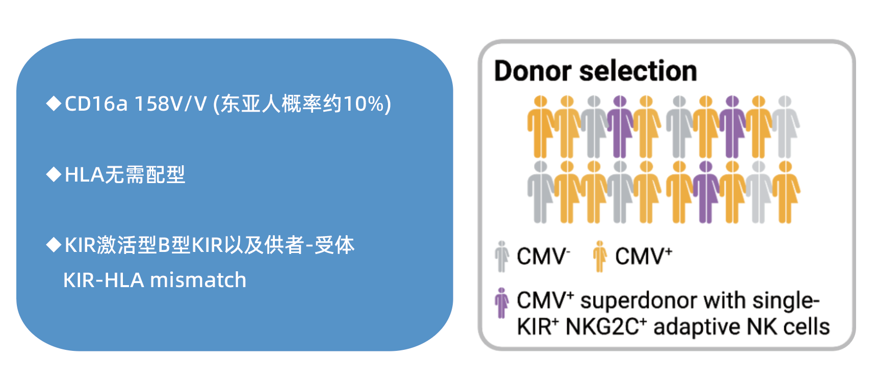 产品细节图片16