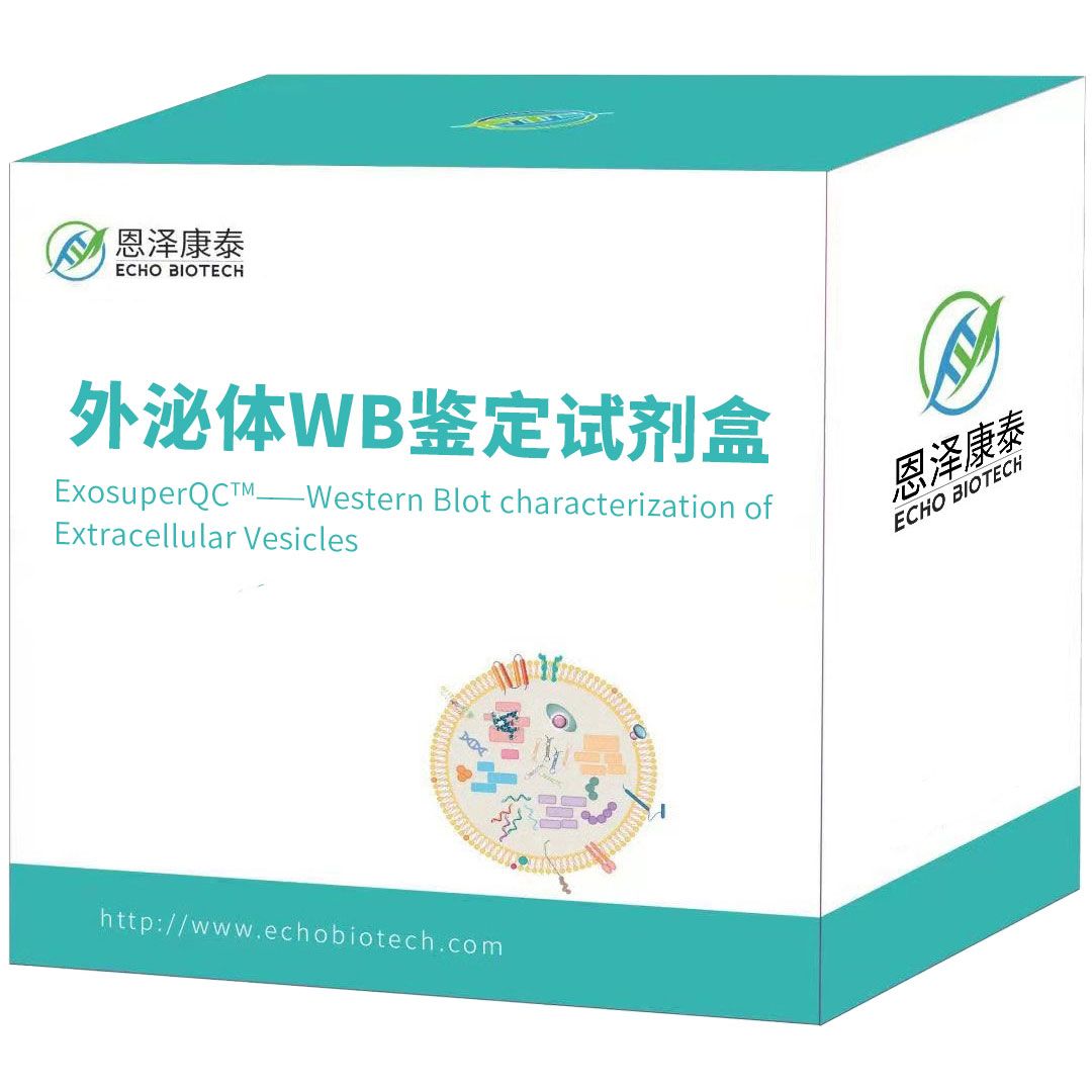 上新-ExosuperQC外泌体4阳1阴WB鉴定试剂盒-CD9/CD63/CD81/Alix/Calnexin可单卖