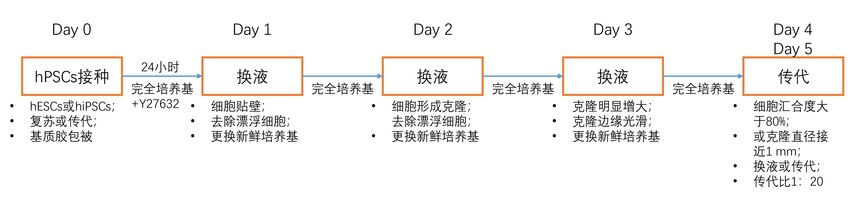 1754029823686720.jpg RC200120 图.jpg