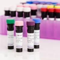 PerCP Mouse IgG1, κ Isotype Ctrl