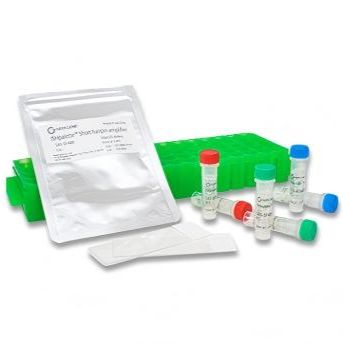 ISHpalette™短发夹扩增子