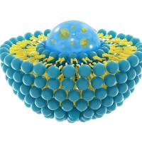 脂质体包载针NMDA受体拮抗剂艾芬地尔  Liposome@Ifen