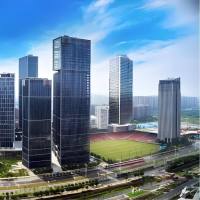 缺铜MS培养基基盐(含维生素)(粉剂)