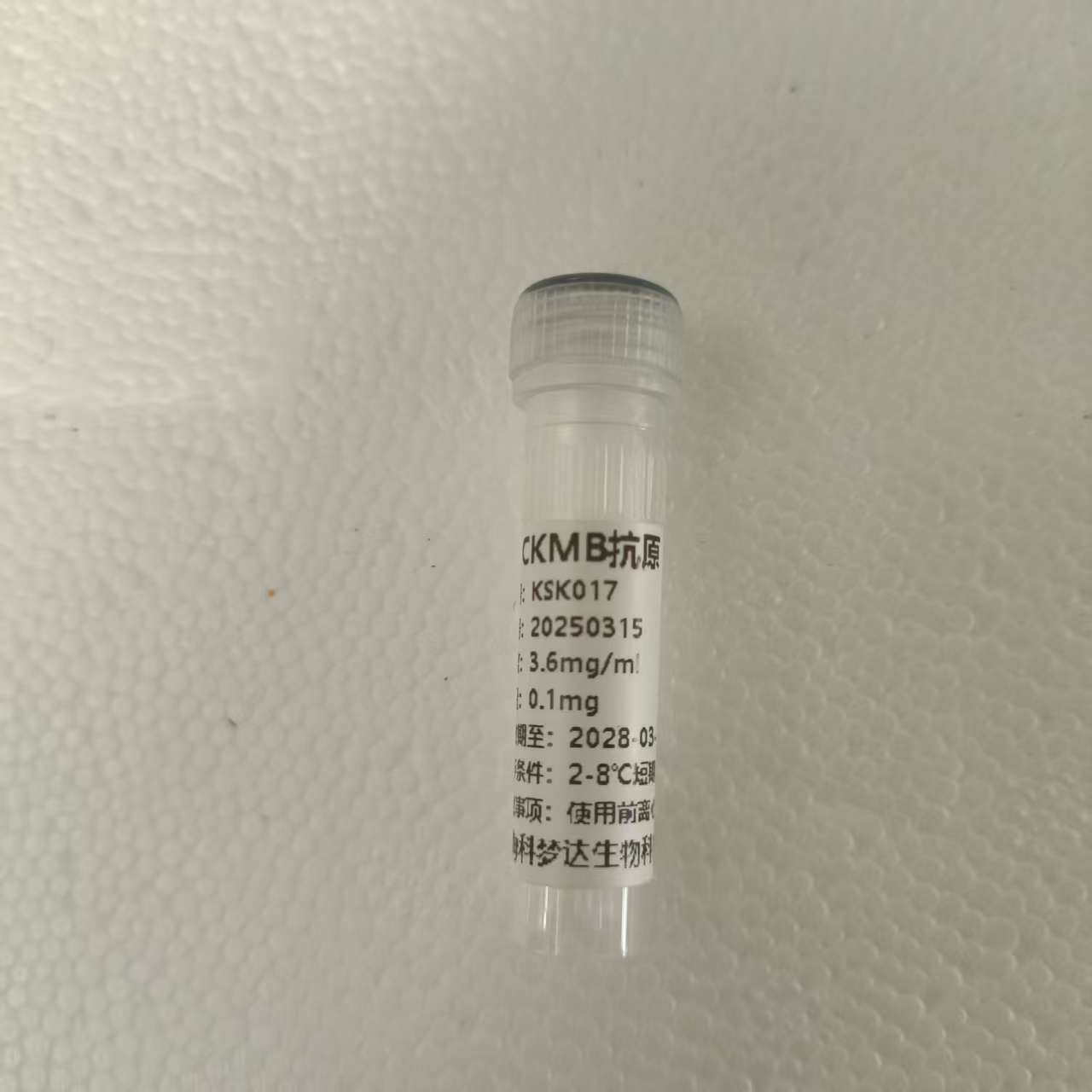 基孔肯亚热抗原