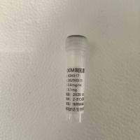 基孔肯亚热抗原