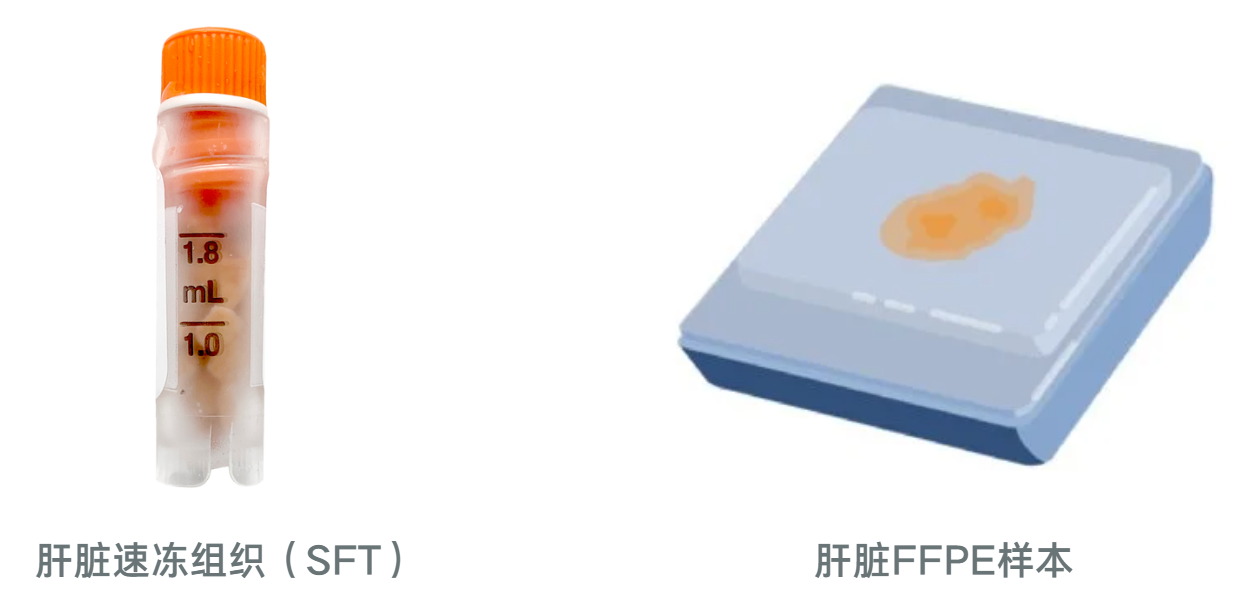 LifeNet提供健康与病变组织样本