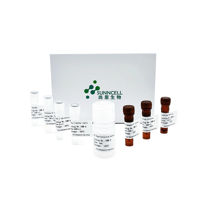 集合！尚恩细胞功能试剂盒买1送1限时开启！