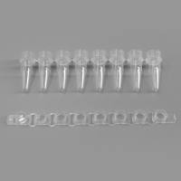 BeyoGold™ qPCR八联排管(0.2ml, 平盖, 透明)